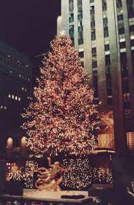 Norwegian Pine Christmas Tree, Rockefeller Center