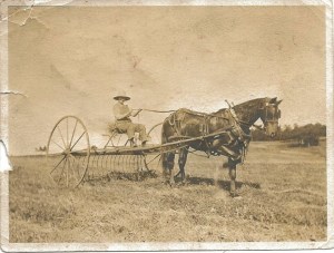 Single-hitch dump rake