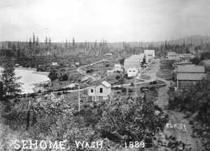 The town of New Whatcom. Washington, had its beginnings as Sehome, seen here in 1889, the year Washington became a state. Centered around Elk Street, and the new Bellingham Bay & British Columbia Railroad--off to the left--the town grew toward the forested background of this scene. In 1904, New Whatcom merged with Fairhaven to become Bellingham. courtesy Whatcom Museum, #2008.57.198